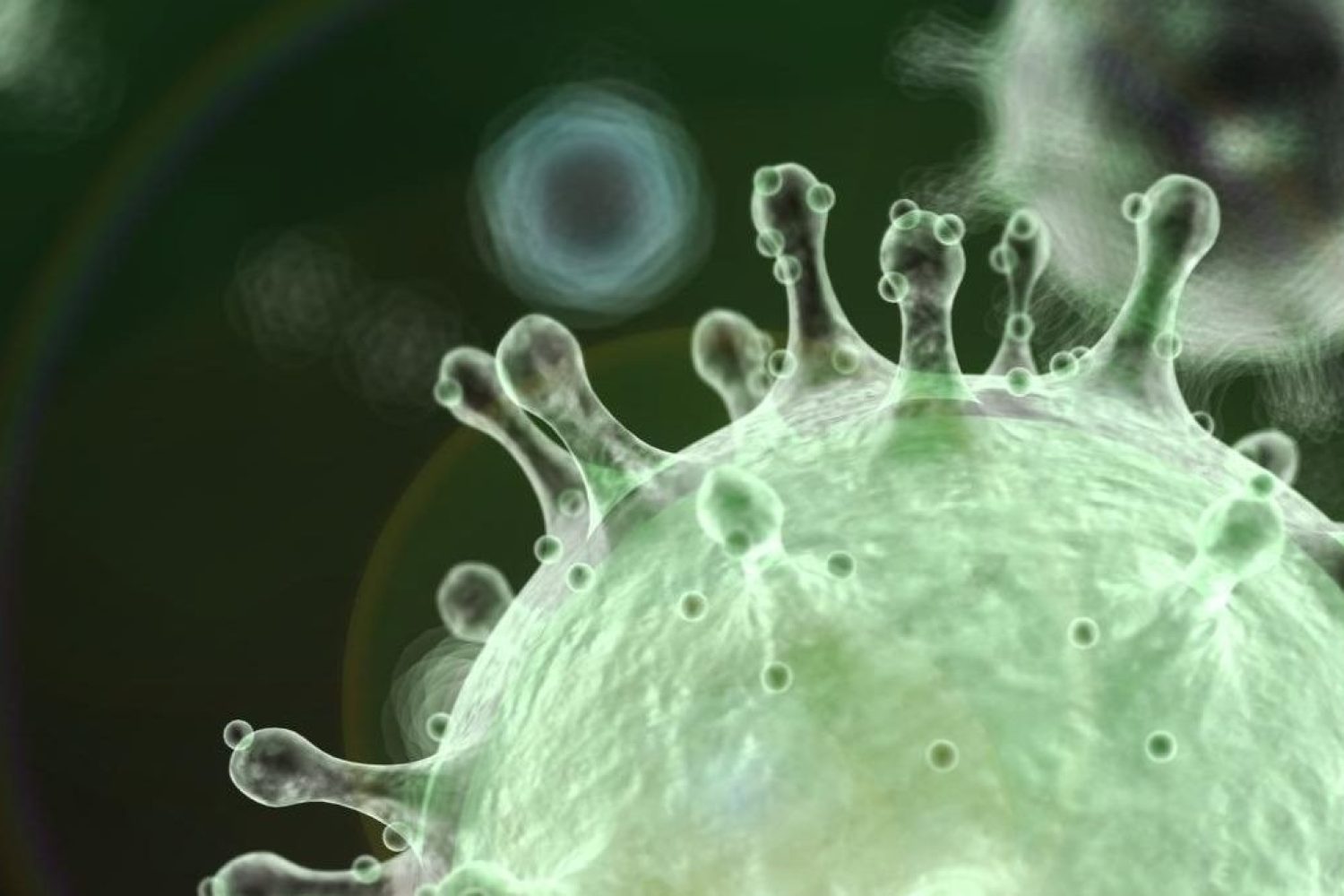 coronavirus