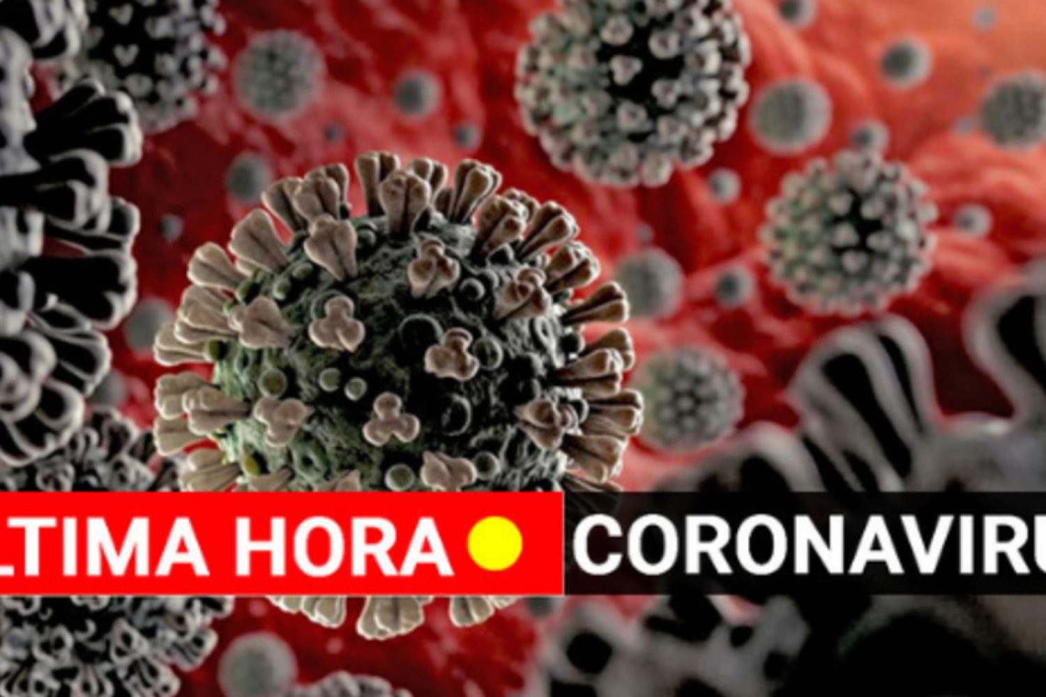 coronavirus