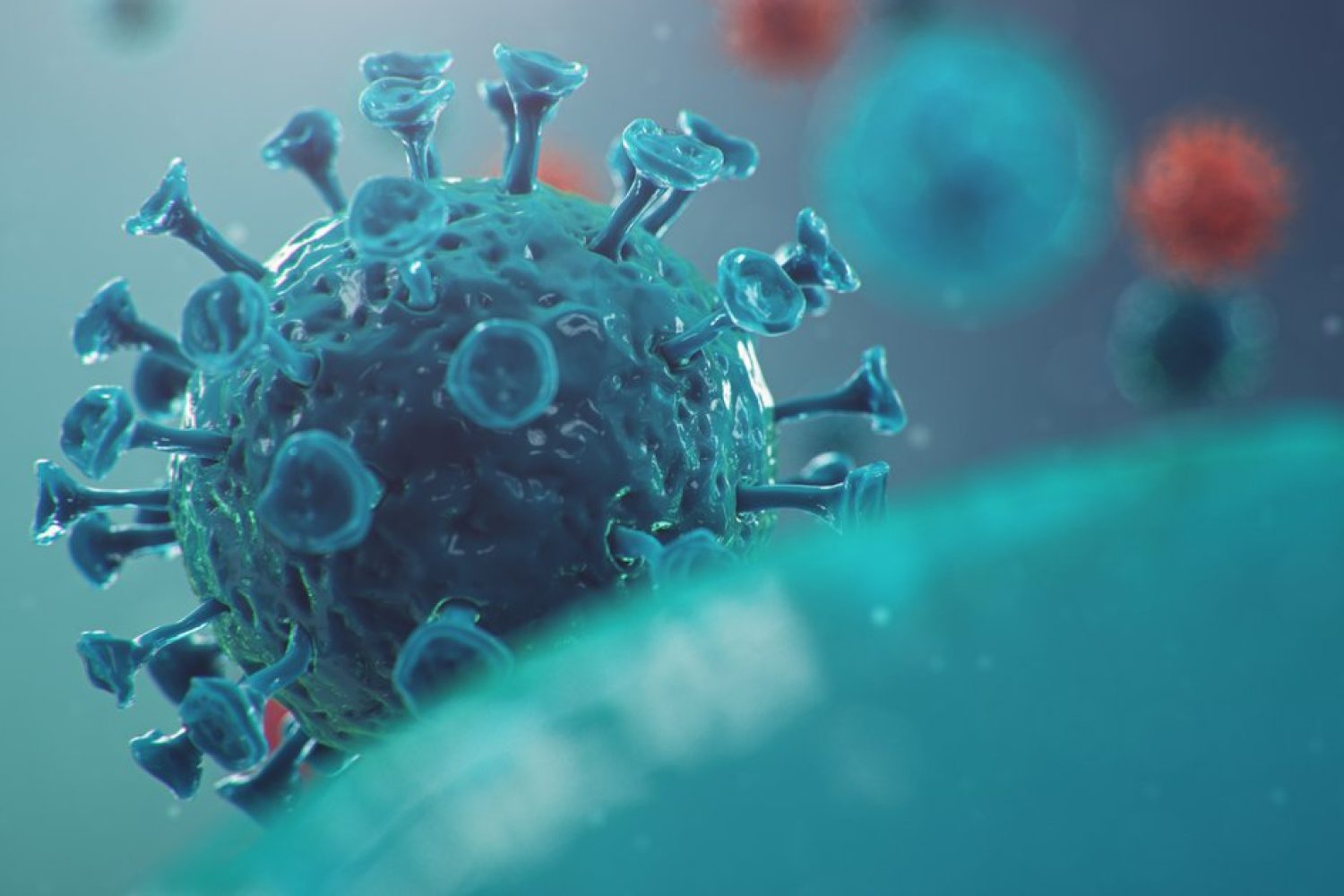 coronavirus_2.d2bb2d53.fill-1200x630