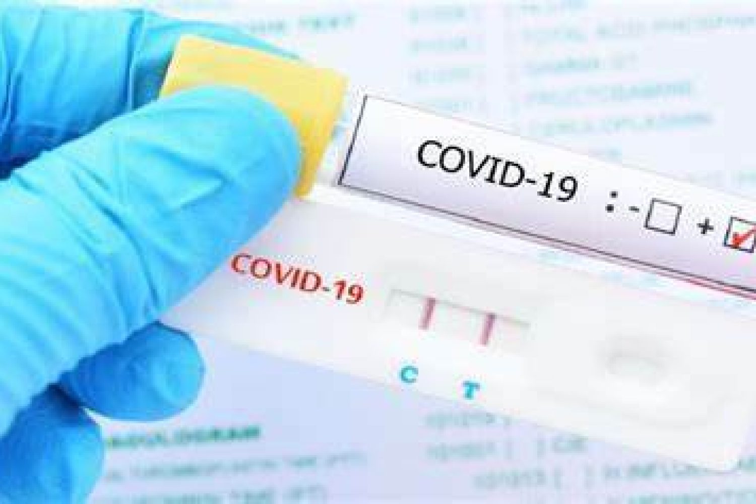 covid 19