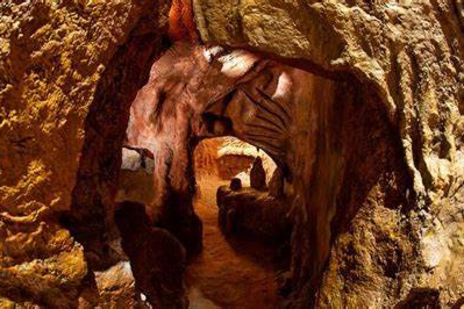 cuevas de maltravieso
