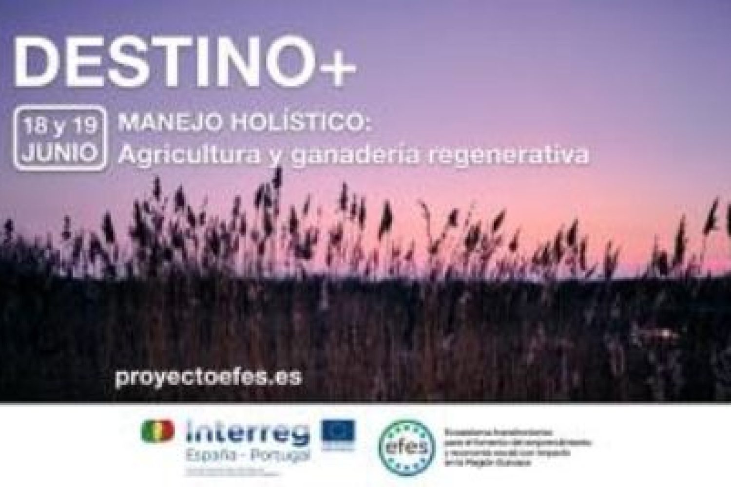 destino +