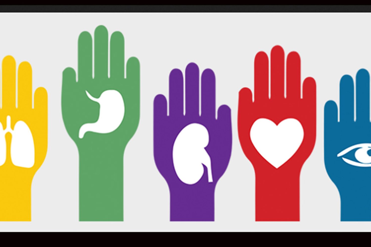 donacion organos