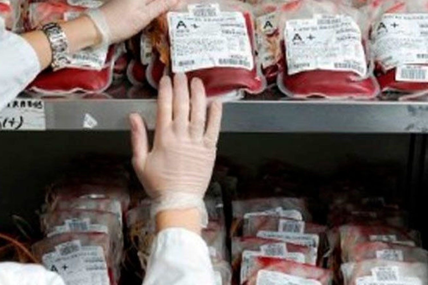 donacion sangre