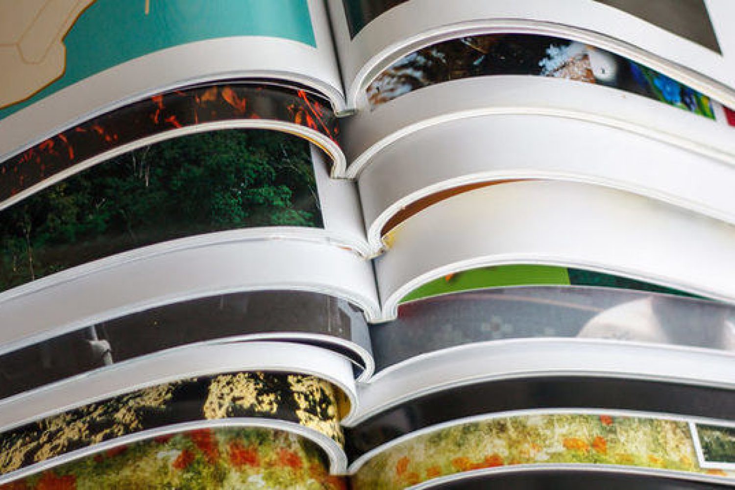 editores