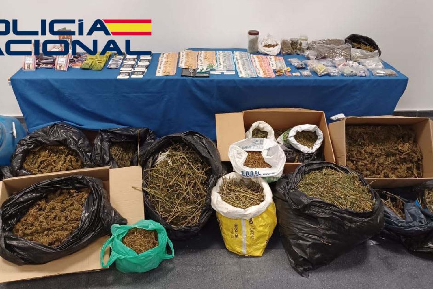 efectos intervenidos merida navis logo (1)