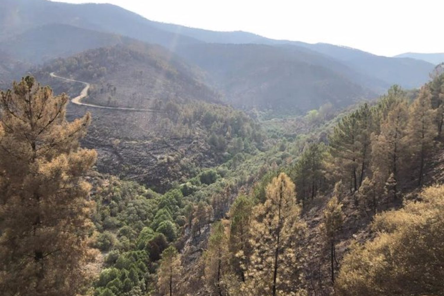 El 112 recomienda circular con precaución por las carreteras y vías dentro de la zona incendiada para evitar accidentes