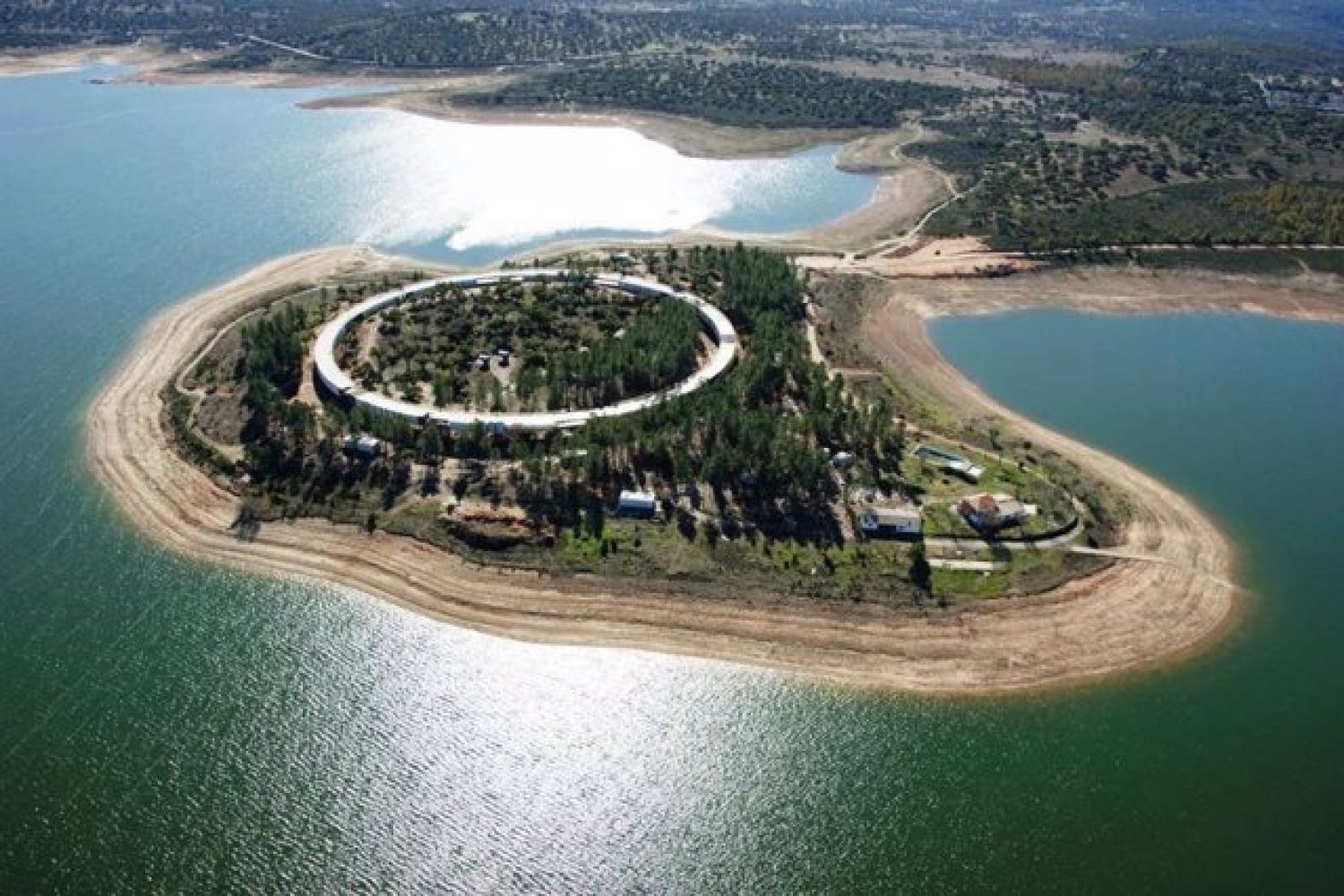 el anillo