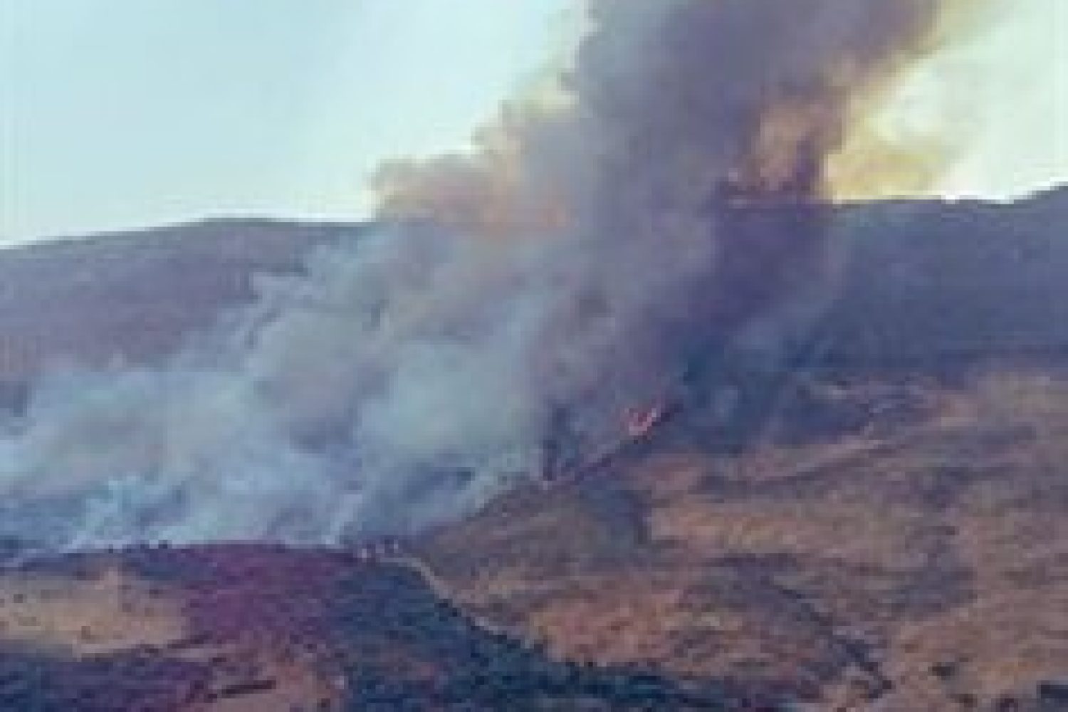 El fuego ha arrasado 1