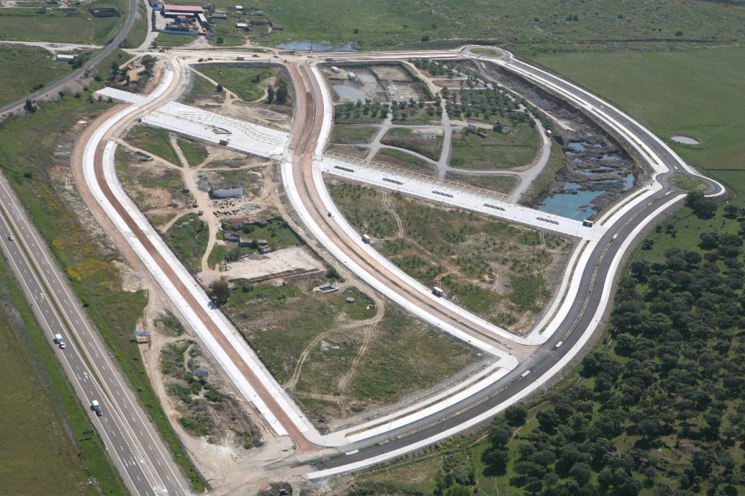 el junquillo