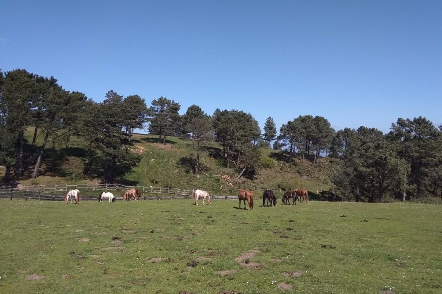 El tiempo en Extremadura para hoy domingo, 14 de agosto de 2022