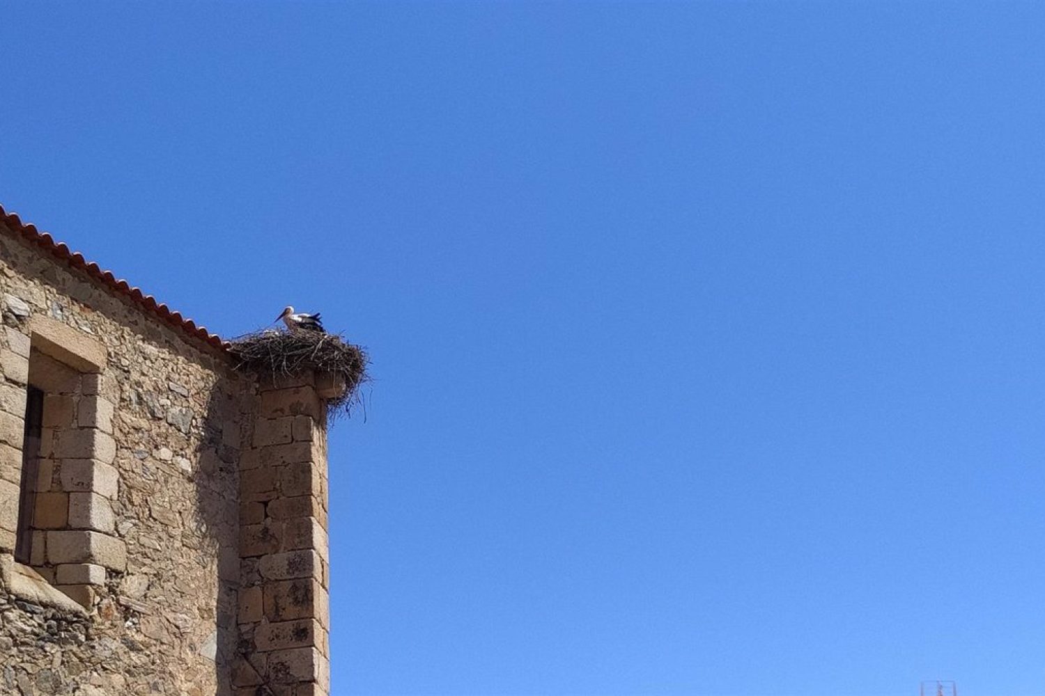 El tiempo en Extremadura para hoy domingo, 7 de agosto de 2022