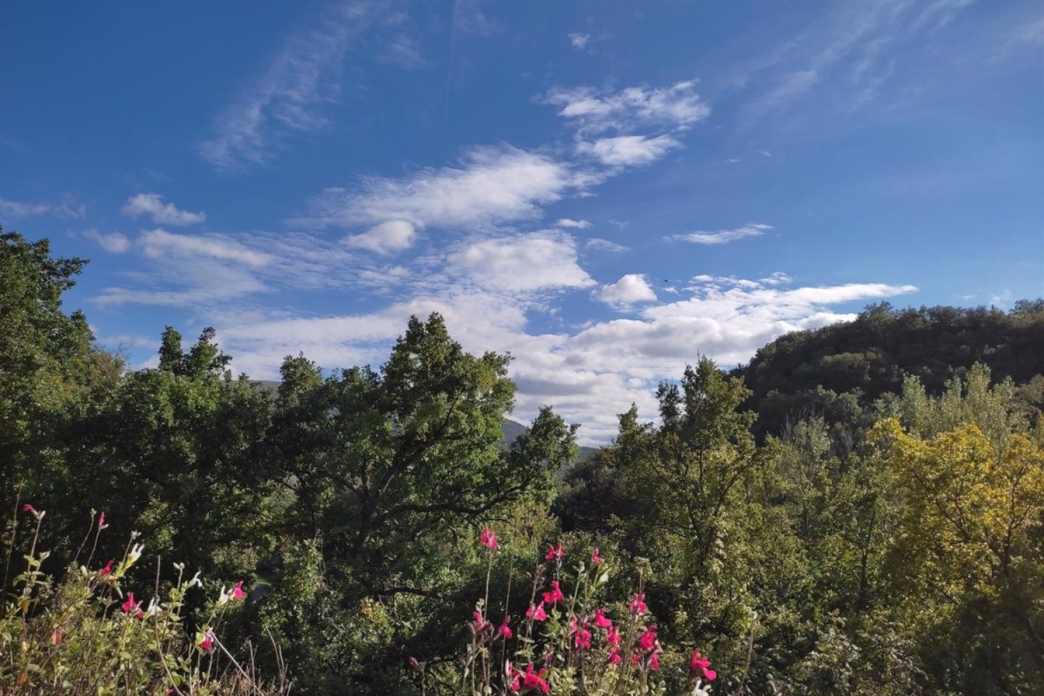 El tiempo en Extremadura para hoy jueves, 21 de julio de 2022