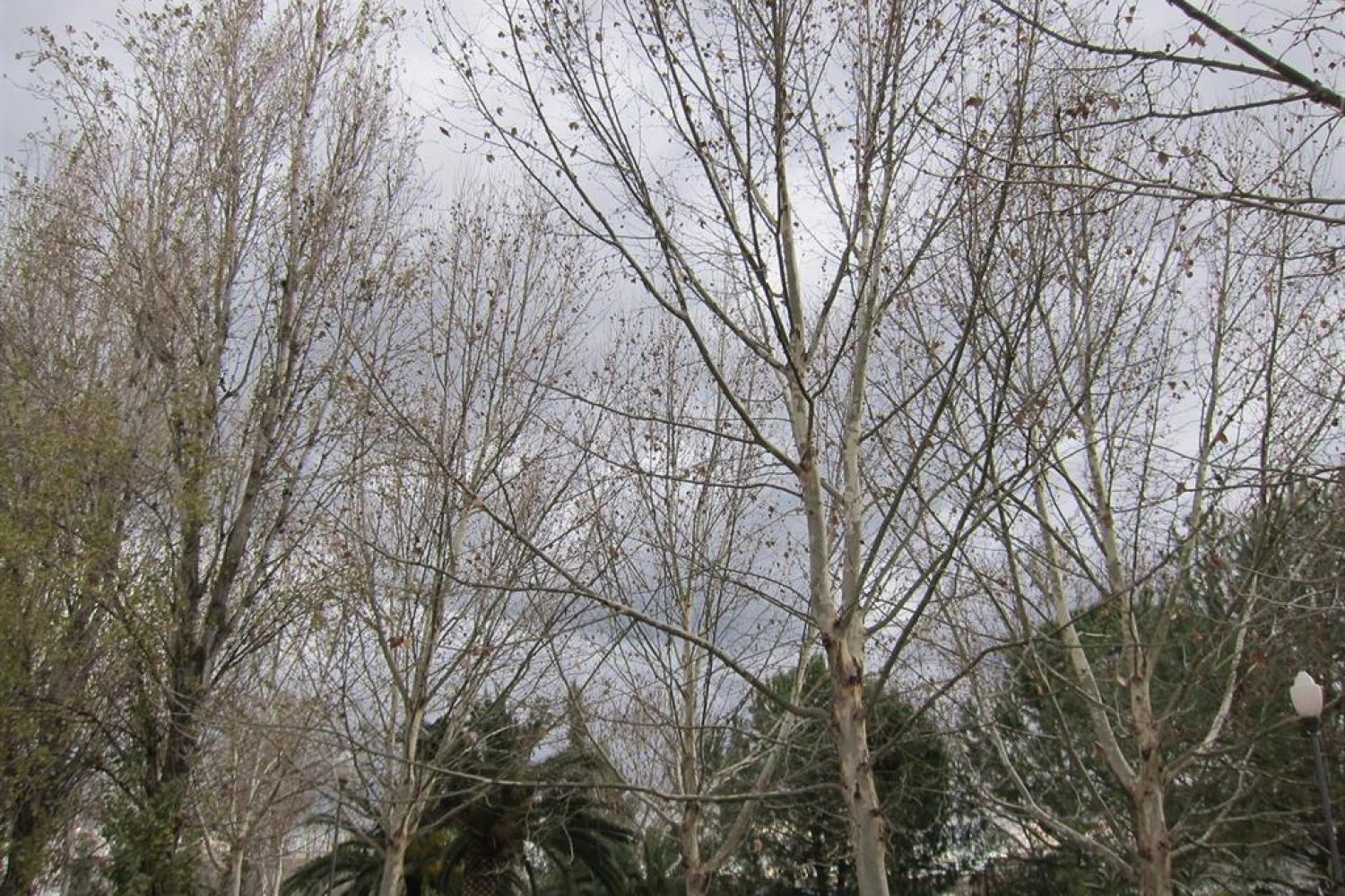 El tiempo en Extremadura para hoy jueves, 21 de noviembre de 2019