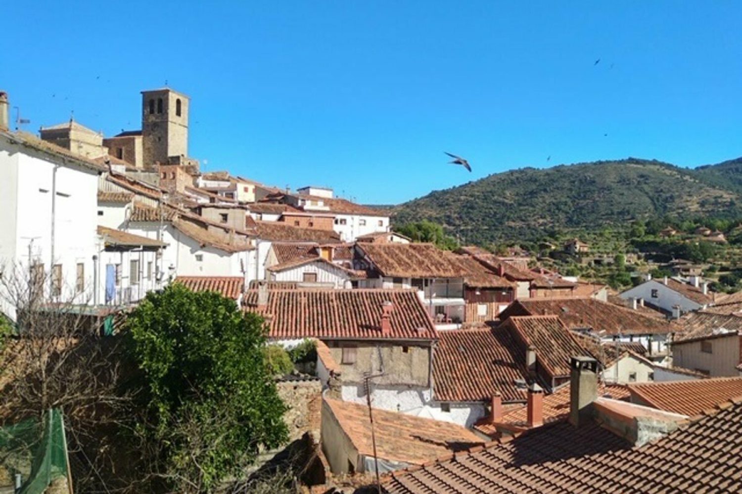 El tiempo en Extremadura para hoy jueves, 28 de julio de 2022