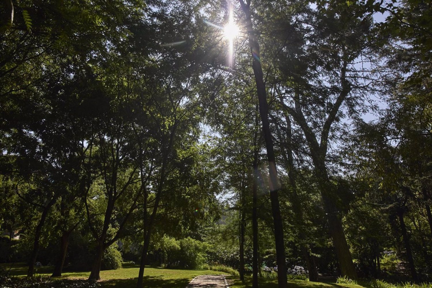 El tiempo en Extremadura para hoy martes, 26 de julio de 2022