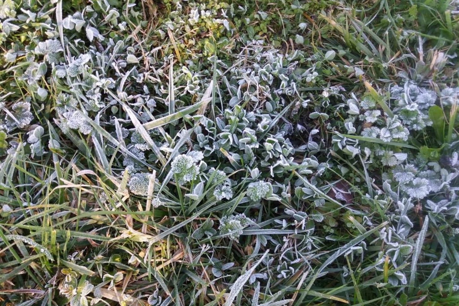 El tiempo en Extremadura para hoy sábado, 16 de noviembre de 2019