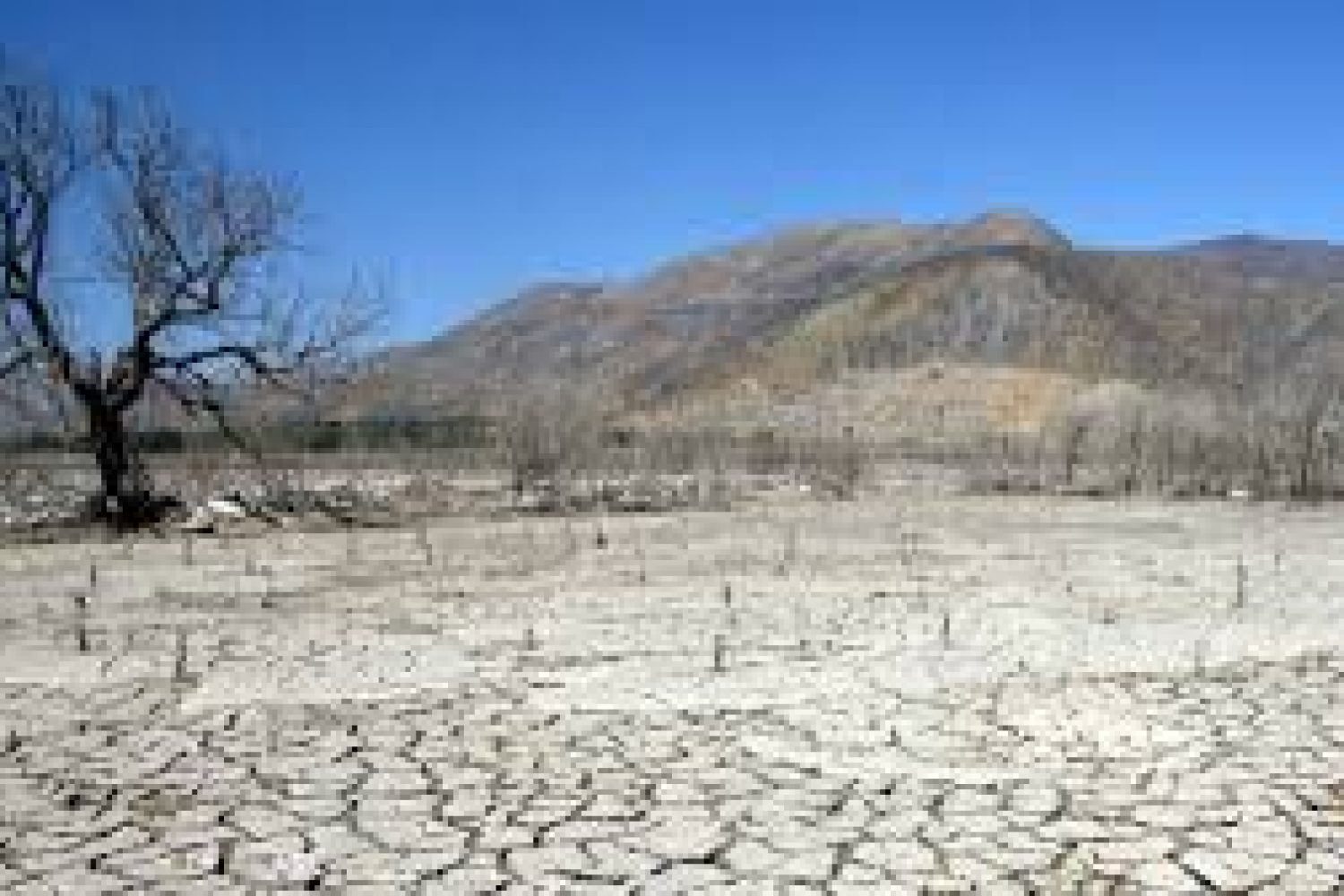 emergencia climatica
