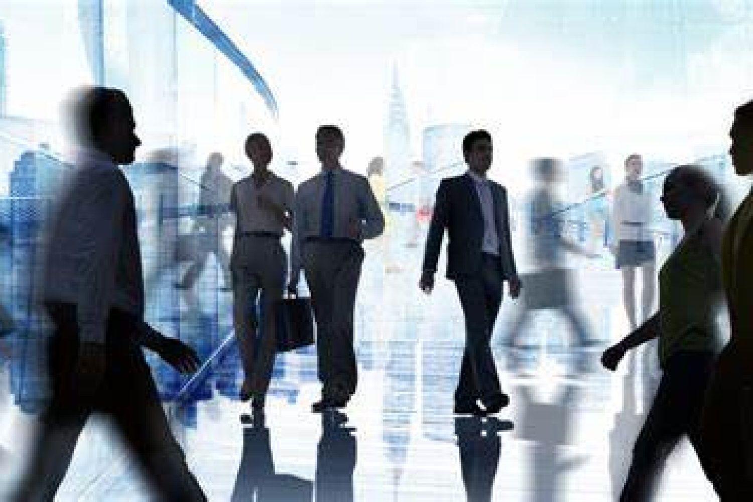 empleo publico