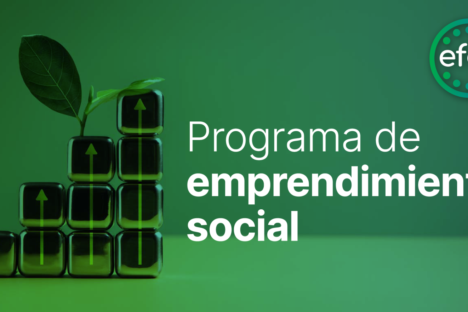 emprendimiento social