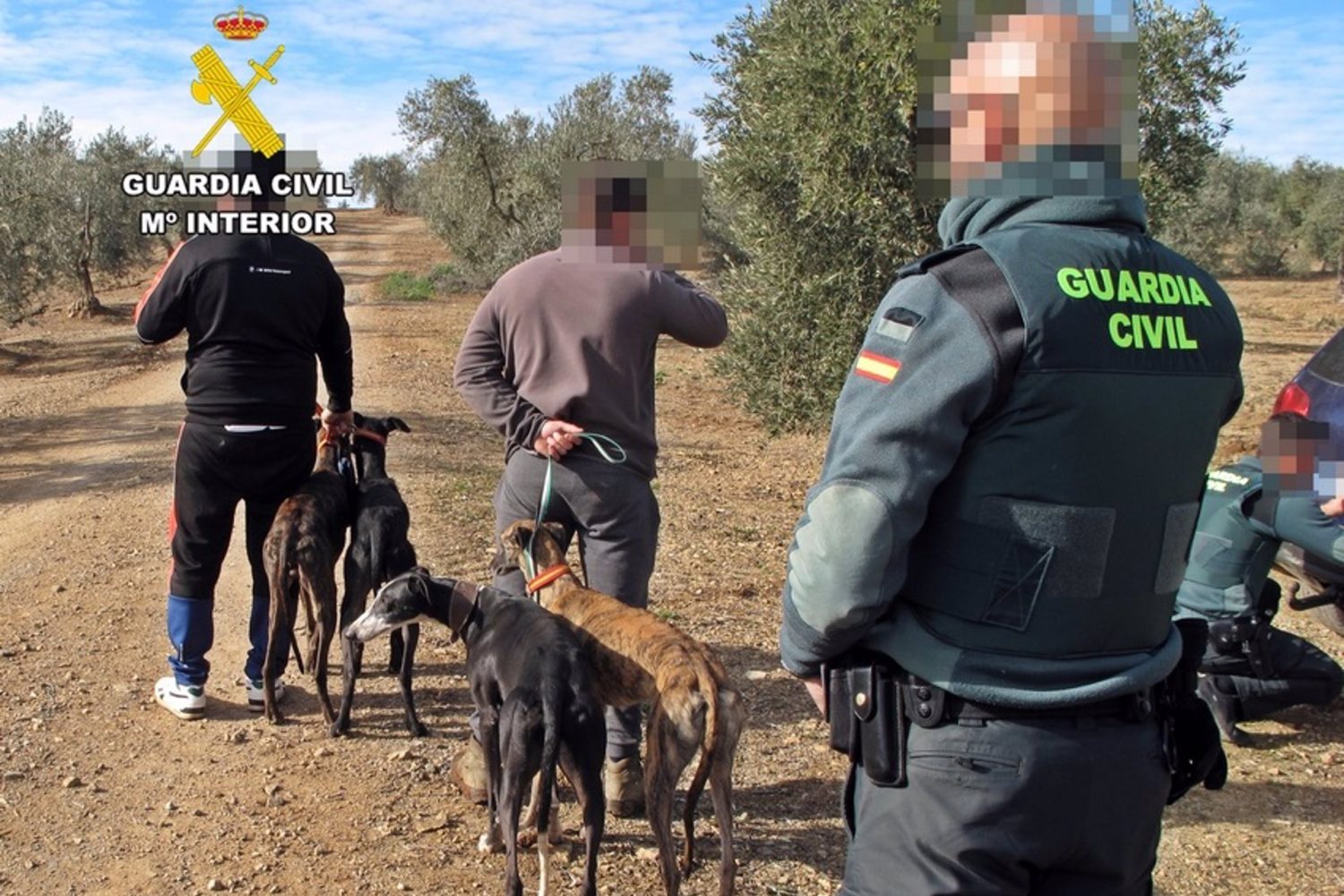 Sucesos.- Investigadas tres personas por caza furtiva con galgos en Llerena