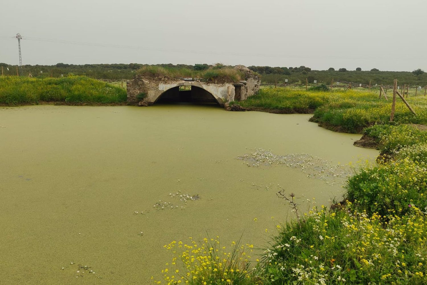 El PSOE alerta del estado "deplorable" de la ermita de San Jorge de Cáceres, que está totalmente cubierta de agua