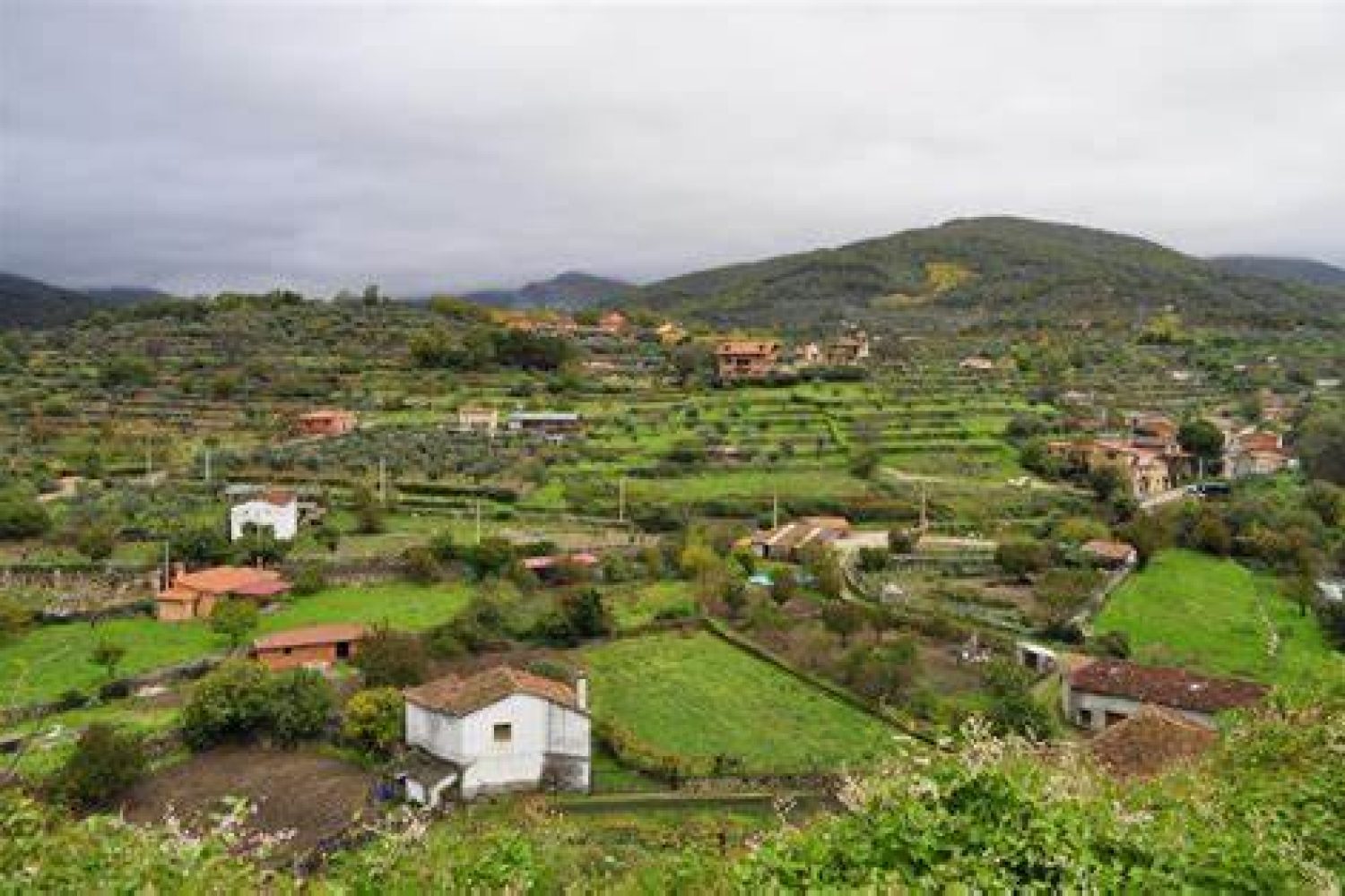 escapada