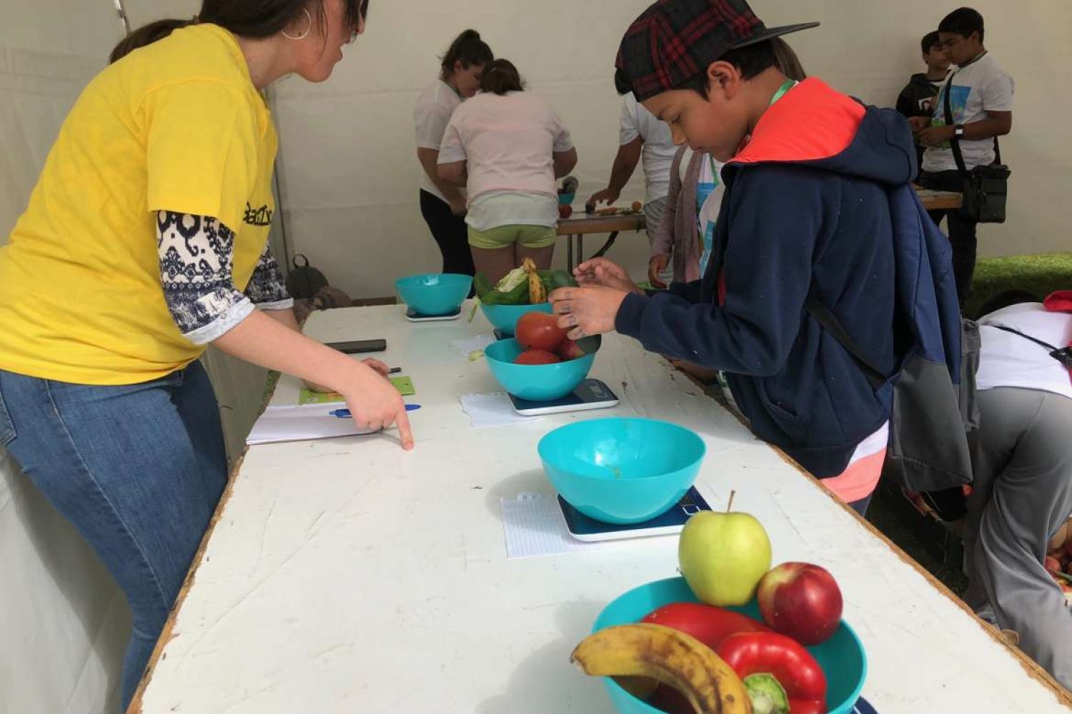 escolars consumo fruta