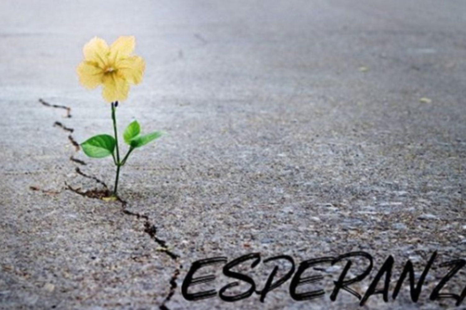 esperanza