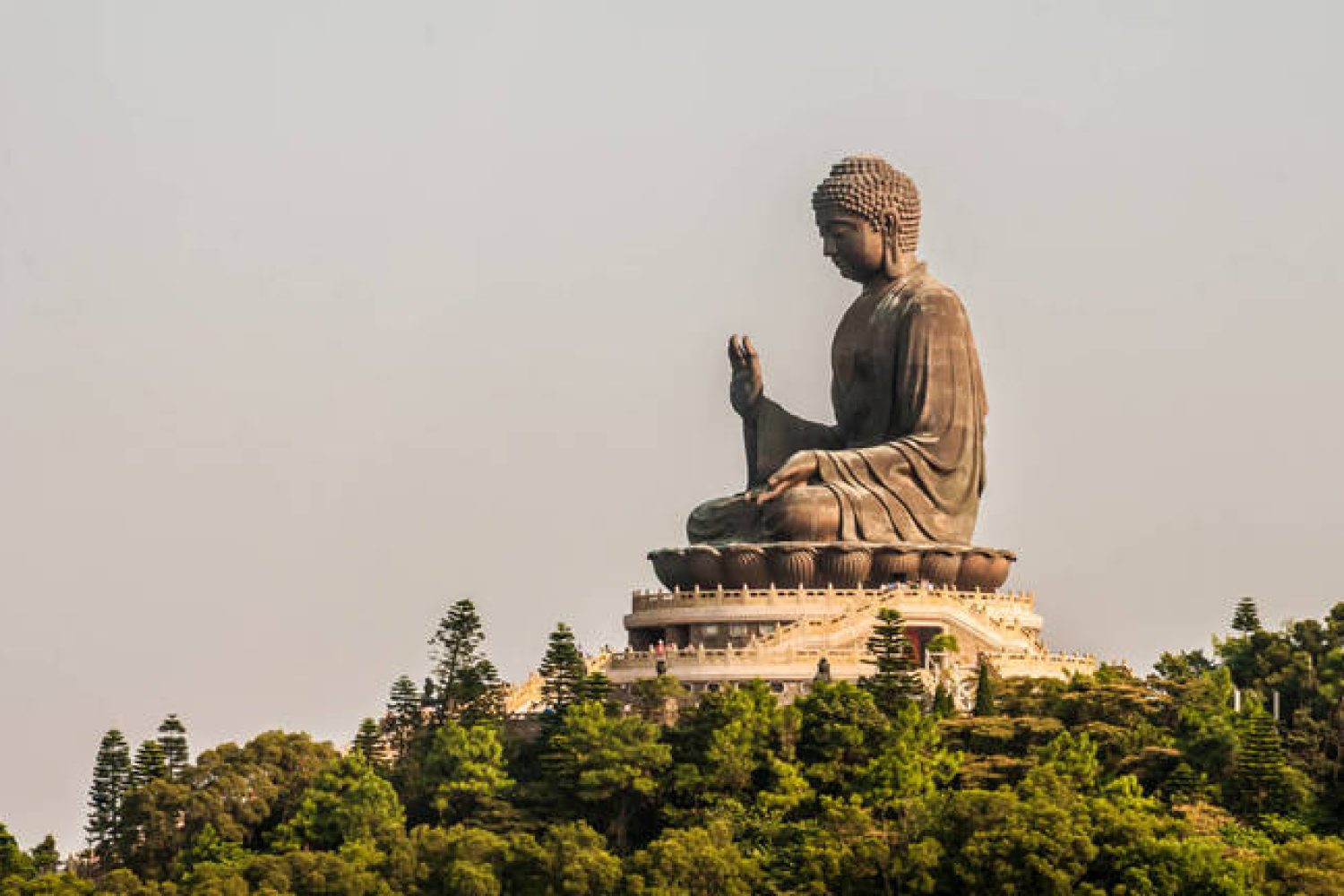 estatua-del-buda-sedente-de-hong-kong-con-una-altura-4-metros-menor-que-el-proyecto-cacereno-wikimedia-commons