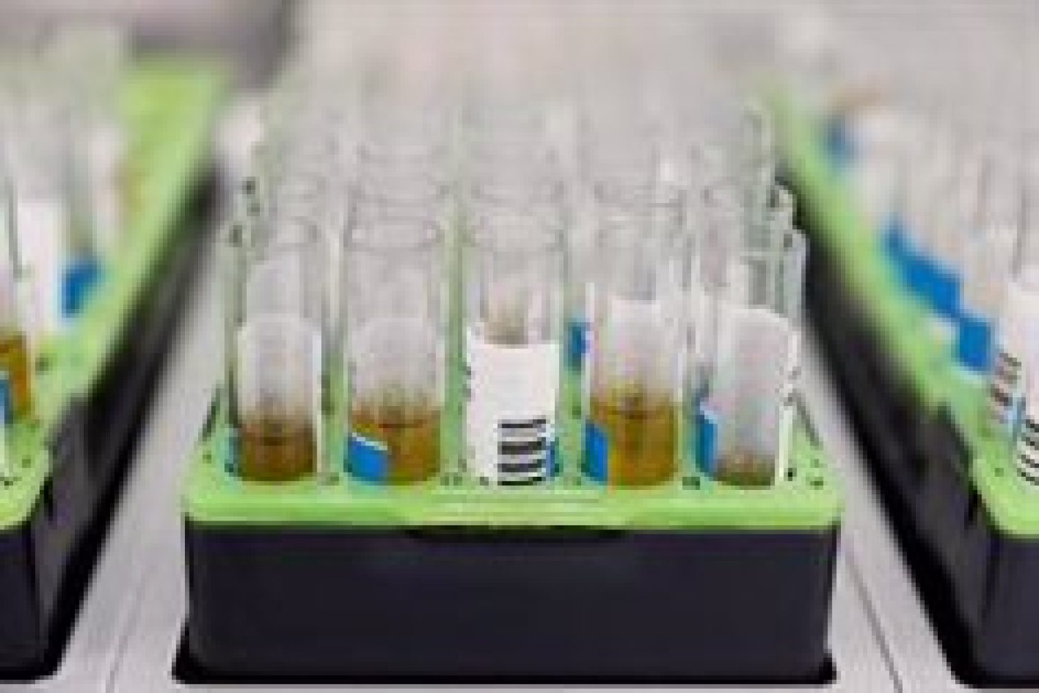 Extremadura notifica 586 nuevos casos de coronavirus y la incidencia baja a 680,16 en mayores de 60 años