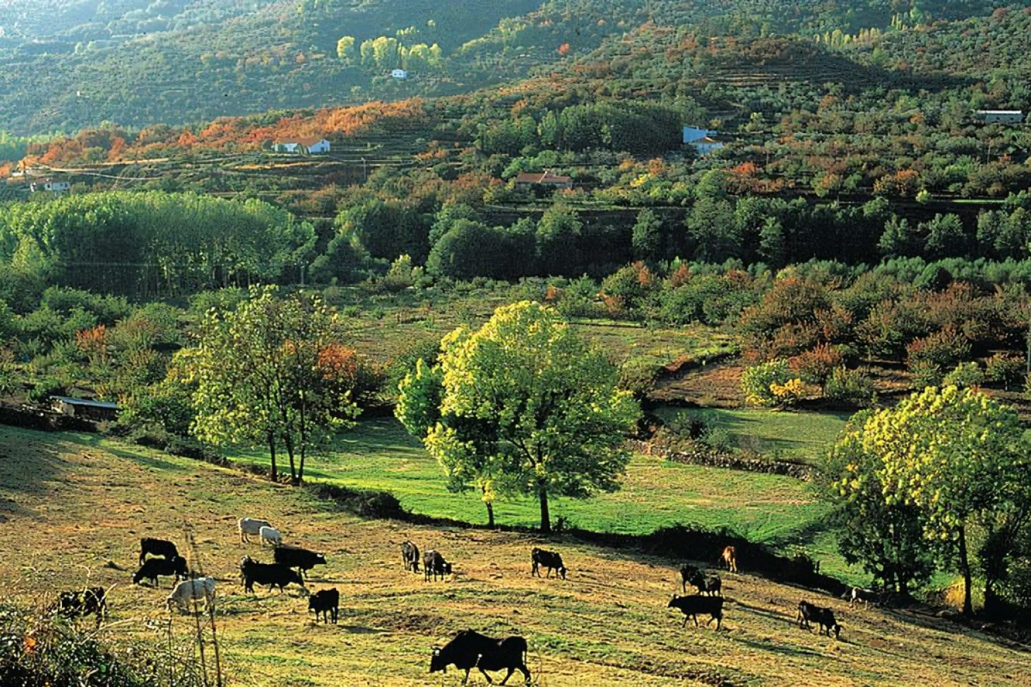 extremadura verde