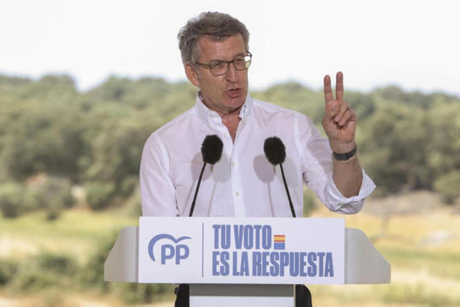 feijoo