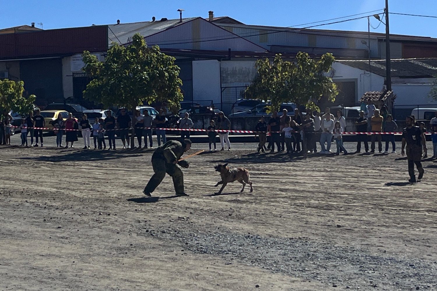 feria perro