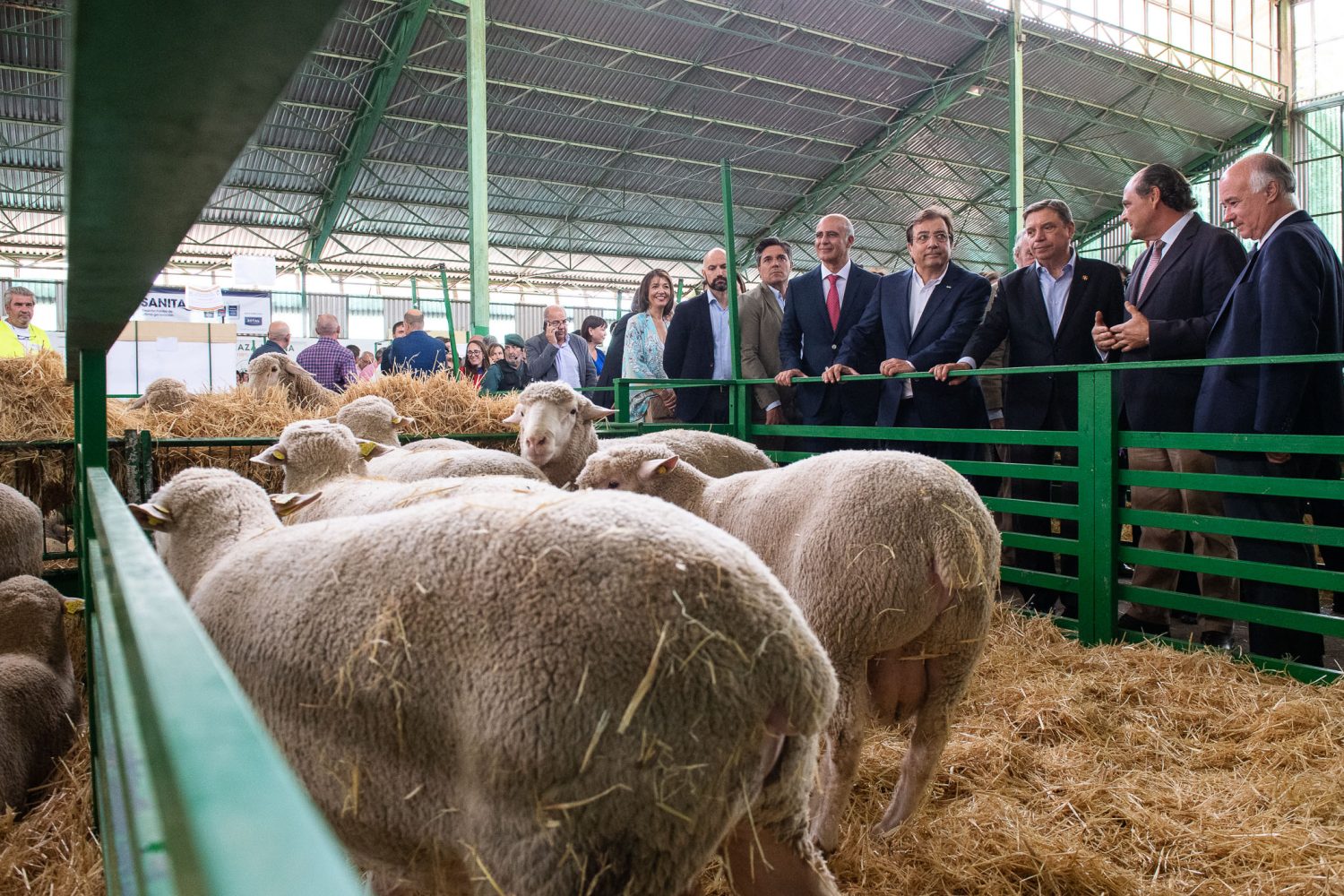 feria zafra 22