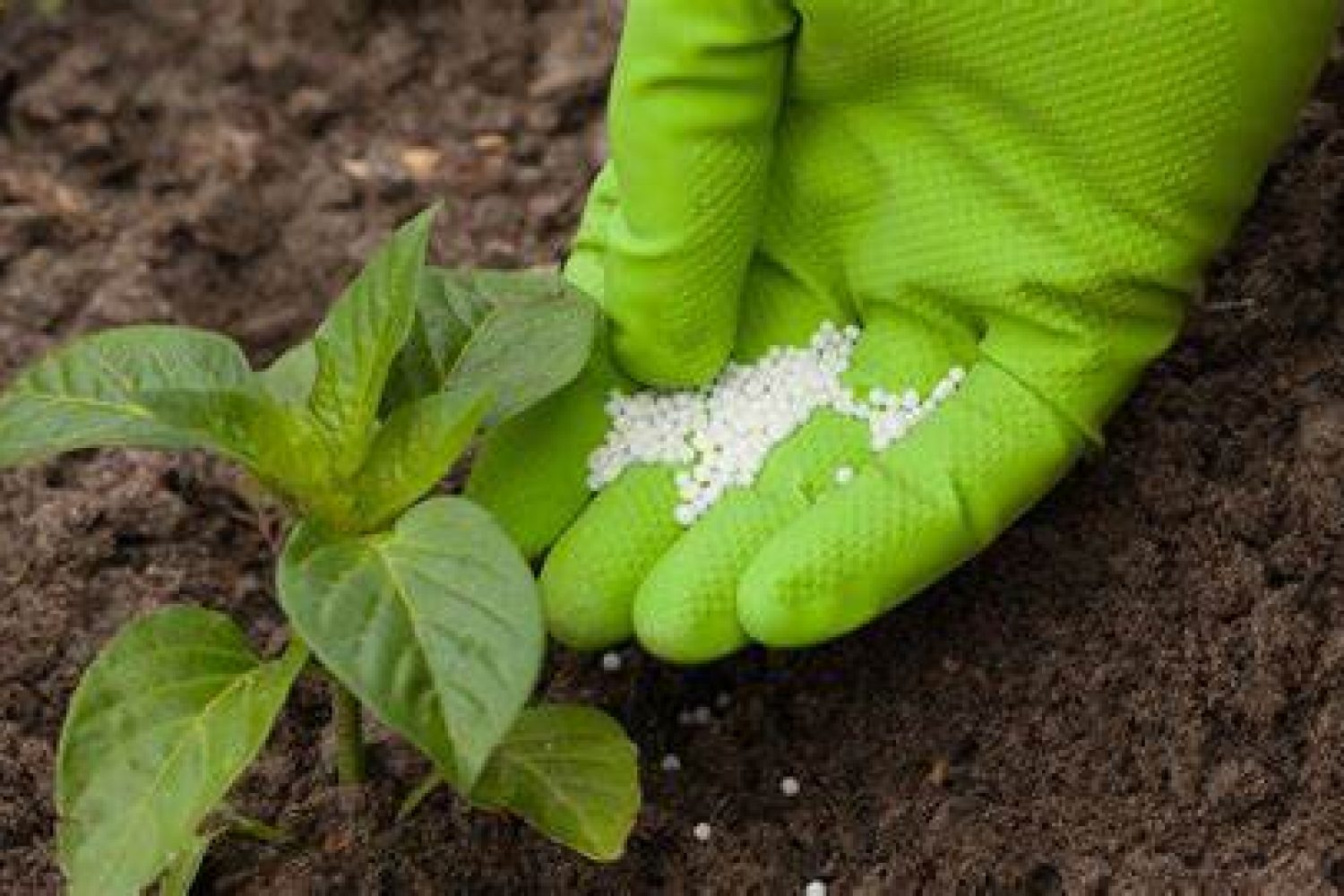 fertilizantes