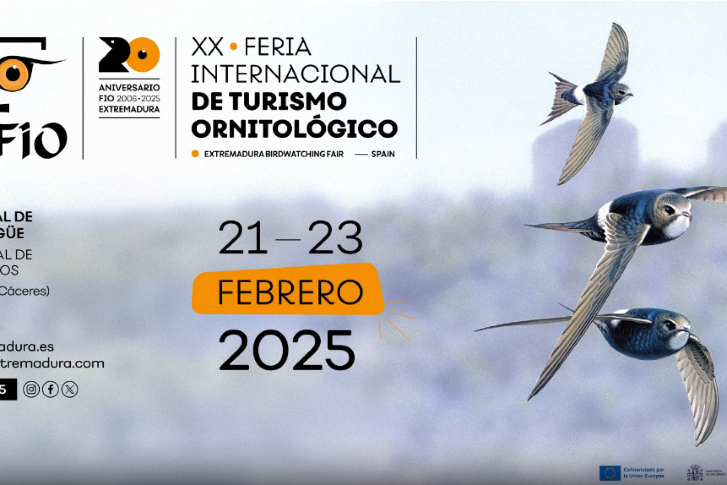 fio 2025