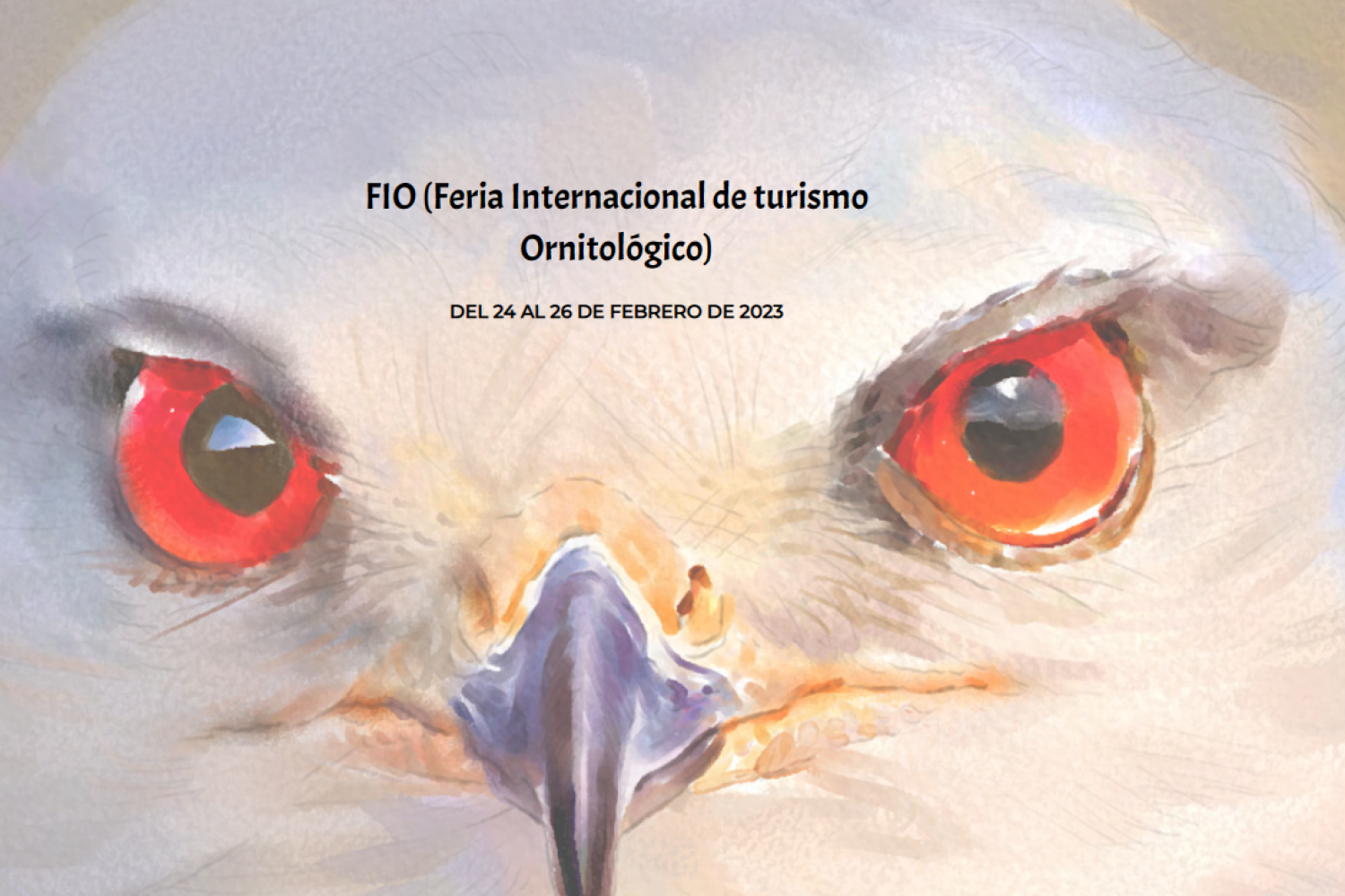 fio