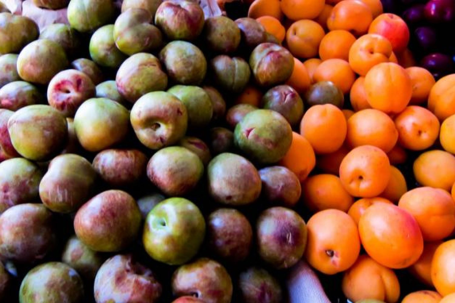 fruta hueso