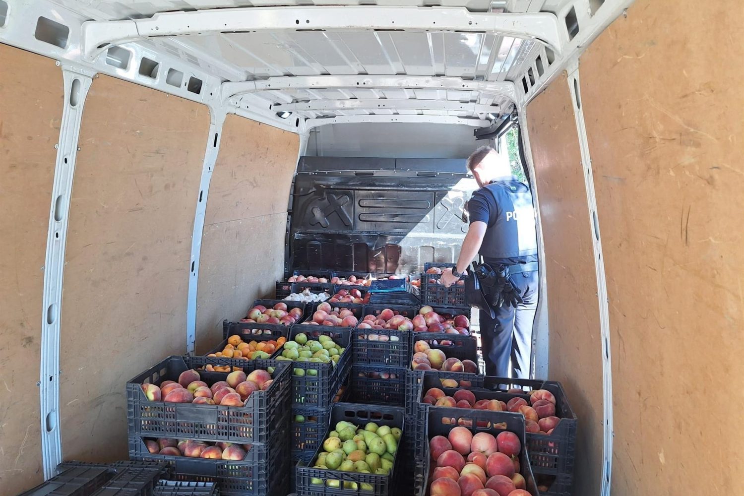 fruta