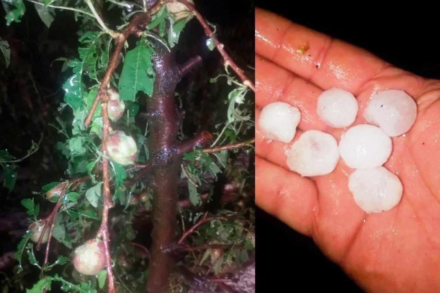 granizada