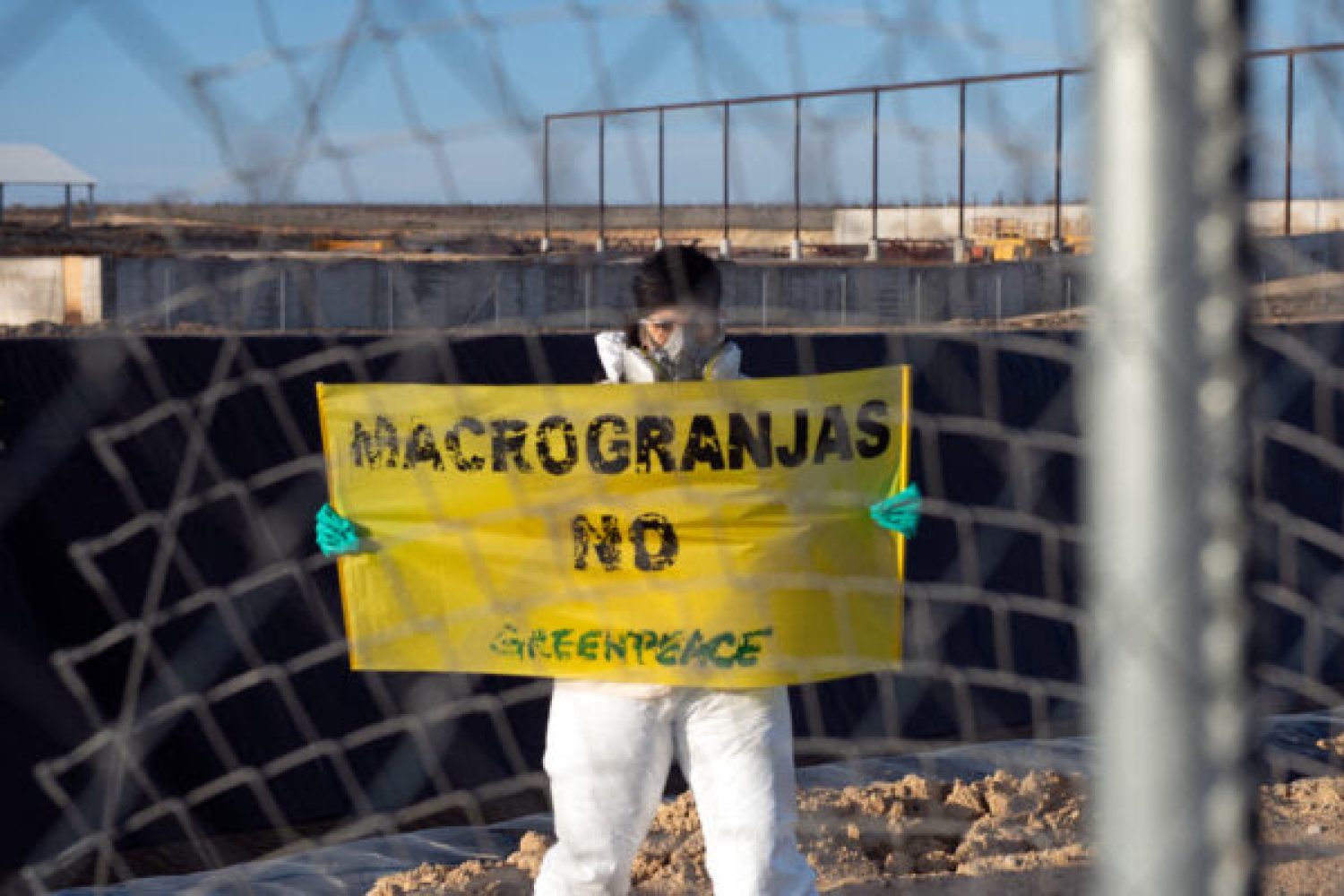 22/03/2021. Caparroso, Navarra, Comunidad Foral de Navarra, España.Greenpeace se desplaza a Caparroso (Navarra) para denunciar cómo la ganadería industrial está contaminando las aguas del medio rural, sobrepasando, entre otros, los niveles permitidos de nitratos.“Las macrogranjas envenenan el agua”: Así reza la principal pancarta de la protesta pacífica que estamos llevando a cabo esta mañana, con motivo del Día Mundial del Agua, para denunciar el grave impacto que tienen las macrogranjas sobre este recurso vital. Estamos llevando a cabo esta acción en la macrogranja de Caparroso (Navarra). En febrero ya estuvimos aquí denunciando el impacto ambiental de las malas prácticas de la empresa Valle de Odieta S.C.L.Nuestro equipo voluntario de activistas ha devuelto a la empresa 2 toneladas de agua contaminada. Para ello hemos extraído el agua contaminada de una balsa irregular hasta donde se habían filtrado sin control y los hemos devuelto a la balsa impermeabilizada de la explotación. Allí, otras personas activistas que portaban una pancarta en la que se leía “Valle de Odieta contamina”. Junto a las minúsculas casetas donde se encierran, y apenas se pueden mover, centenares de terneras que han sido separadas de sus madres y que, llegado el momento, reemplazaran a estas en esta fábrica de leche, se leía en otra pancarta “Macrogranjas NO”.©Greenpeace/Mario Gómez©Greenpeace Handout/Mario Gomez - No sales - No Archives - Editorial Use Only - Free use only for 14 days after release. Photo provided by GREENPEACE, distributed handout photo to be used only to illustrate news reporting or commentary on the facts or events depicted in this image.