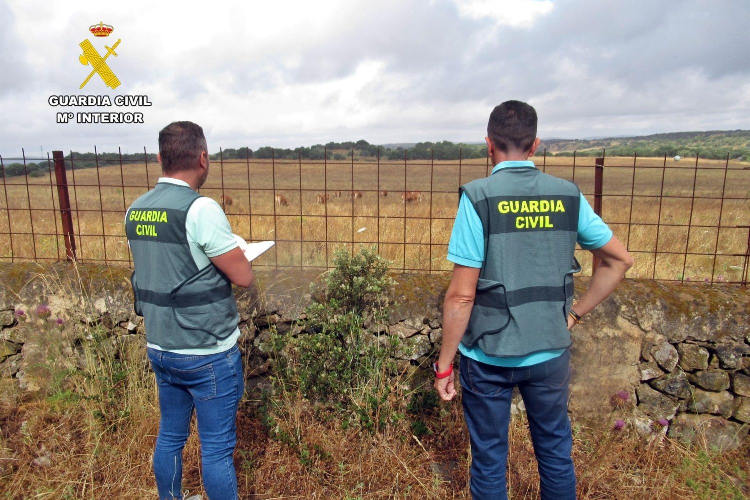 guardia civil
