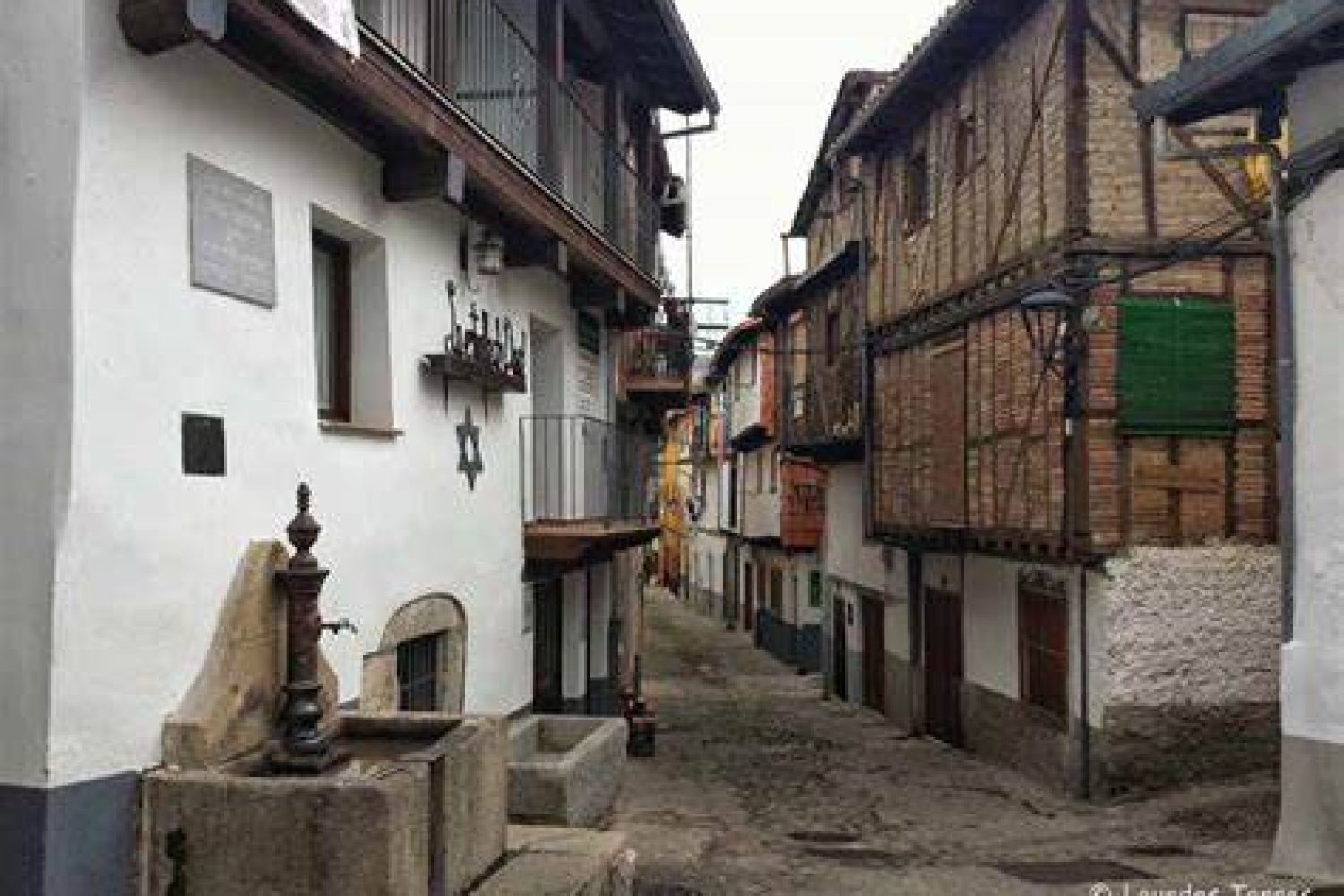 hervas 1