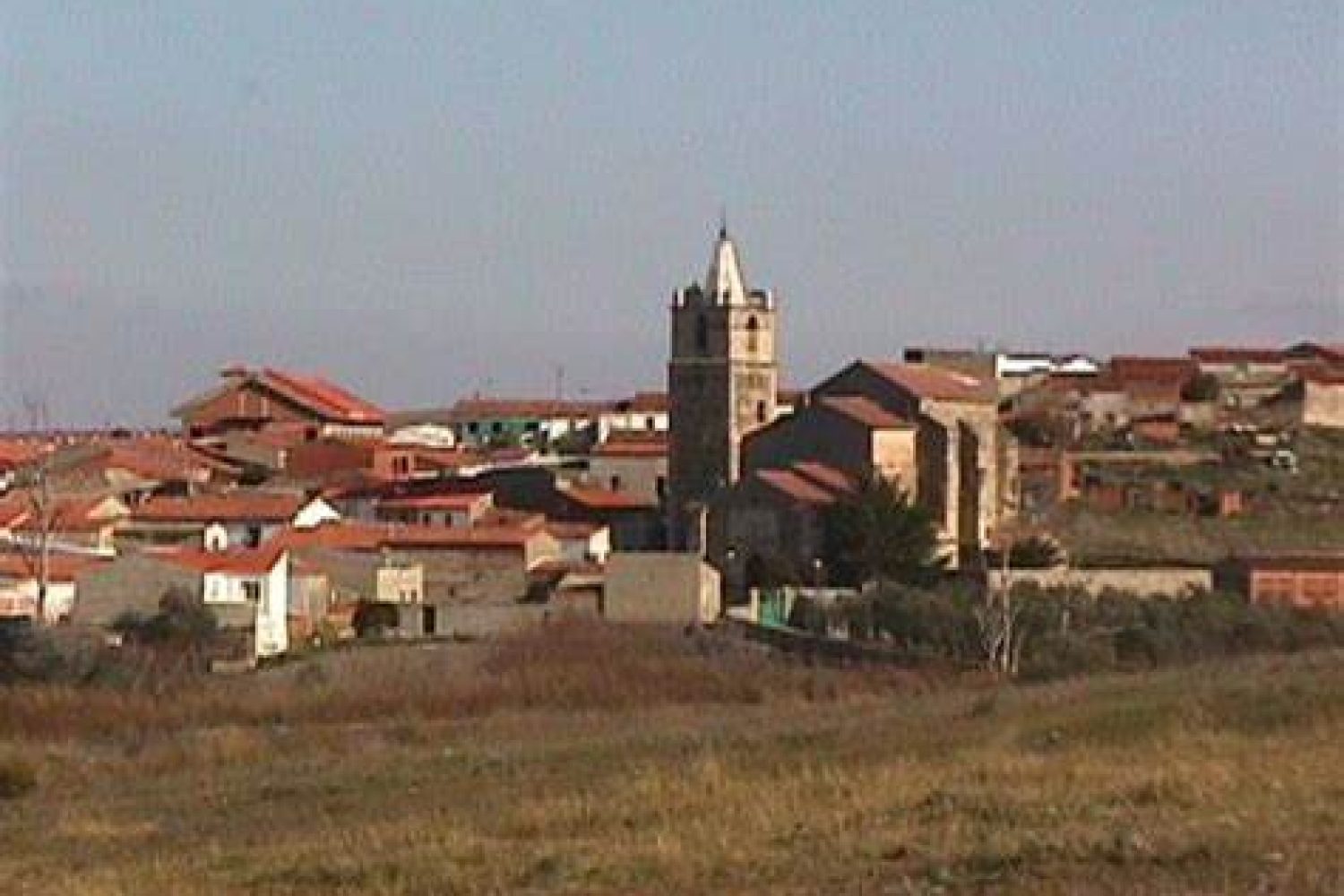 holguera