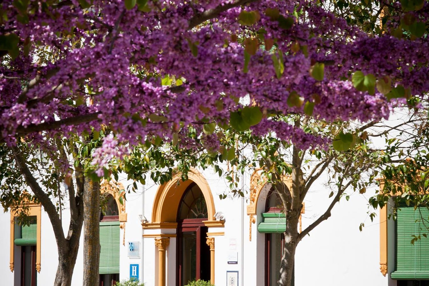 hotel balneario