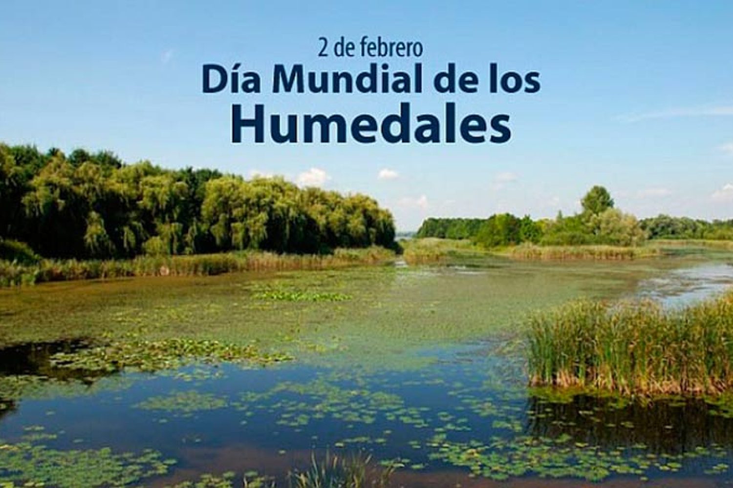 humedales-portada