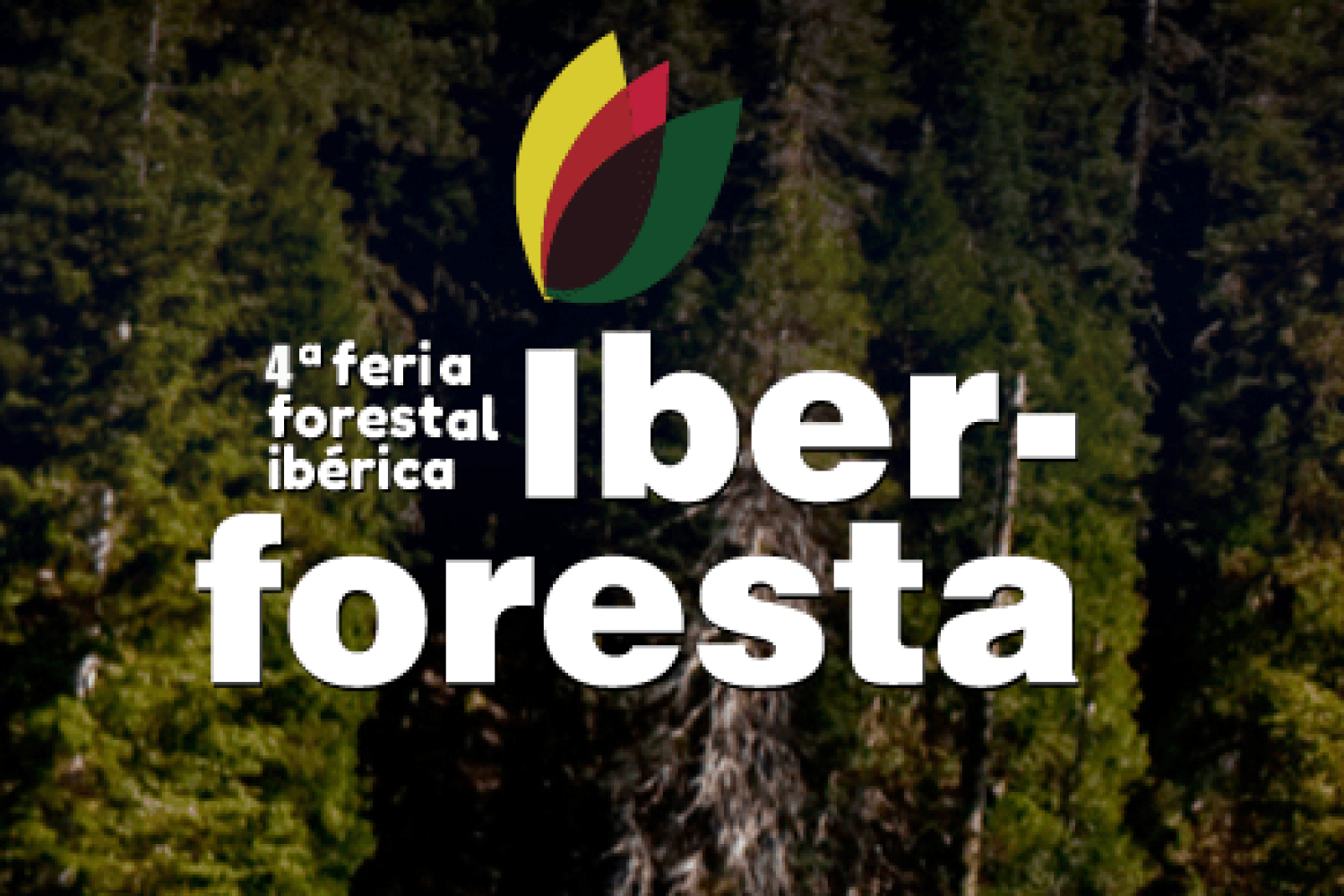iberforesta