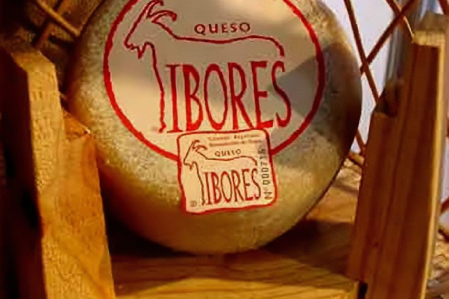 ibores