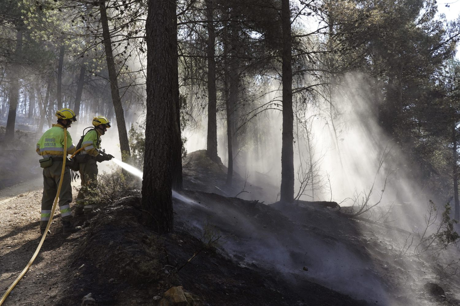 incendio 3